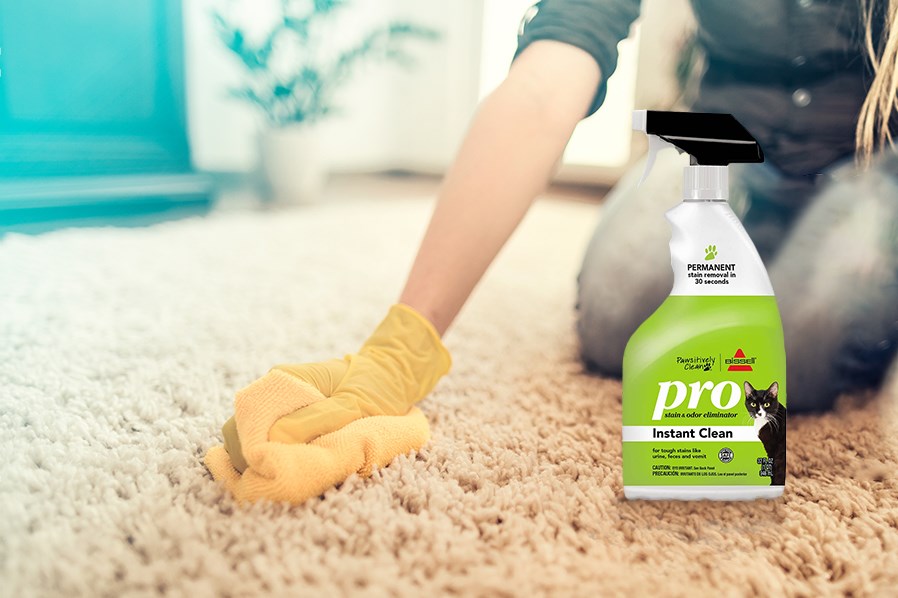 "Got Vomit Stains? BISSELL Pawsitively Clean recommends these four steps for cleaning vomit stains from your upholstery and carpet.