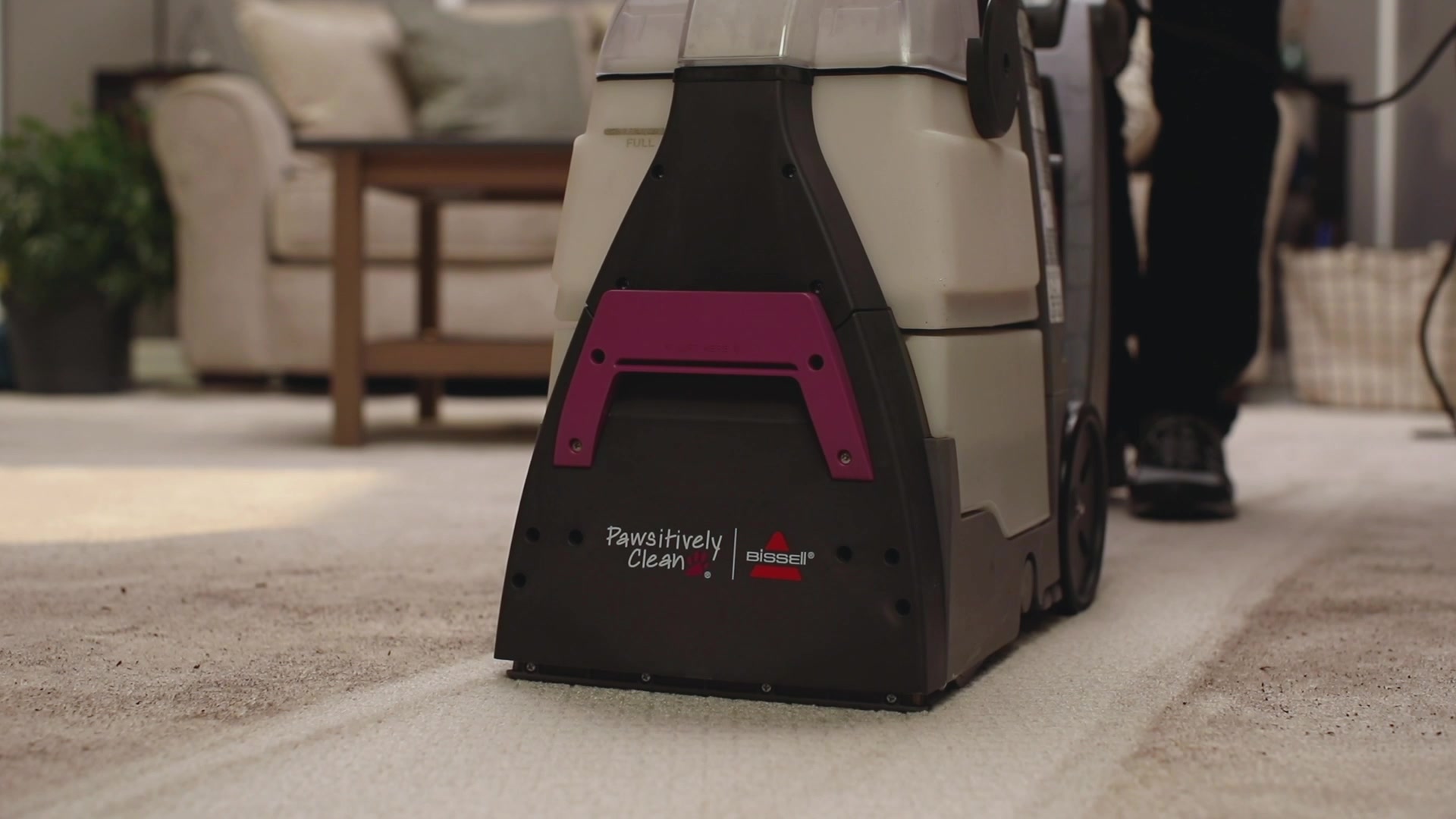 BISSELL Pawsitively Clean Carpet Cleaning Machine