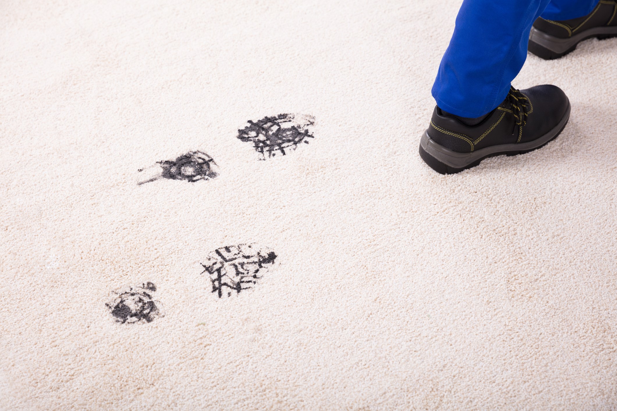 Planning to Move? BISSELL Pawsitively Clean 5 reasons why movers should deep clean.